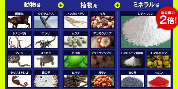 ヴィトックスアルファ VITOX-α EXTRA Editon販売サイトへ