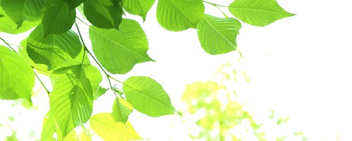 ヴィトックスアルファ VITOX-α EXTRA Editon 精力サプリ販売サイトへ